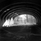 Edgewood Park